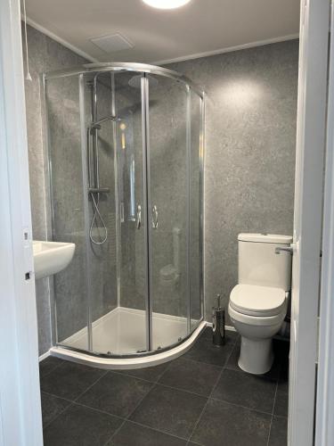 a bathroom with a shower with a toilet and a sink at The Den and Orchard in Frome