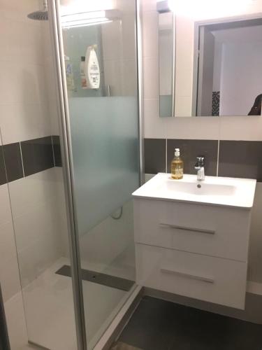 une salle de bain avec une douche, un lavabo et un miroir dans l'établissement Appartement calme vue mer, à Sanary-sur-Mer