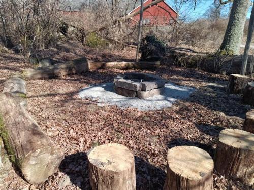 a fire pit in a yard with trees and logs at Magasinet Järnavik in Bräkne-Hoby
