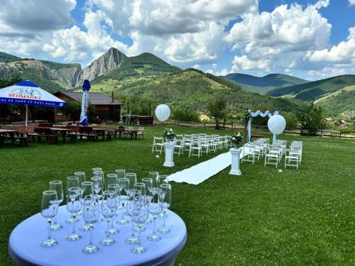 a bunch of wine glasses on a table in a field at Pensiunea Bodrogeni in Poiana Aiudului