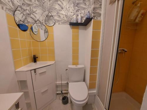 La salle de bains est pourvue de toilettes, d'un lavabo et de deux miroirs. dans l'établissement Studio cabine rénové à 500m des plages, terrasse, animaux admis - FR-1-776-131, à Argelès-sur-Mer