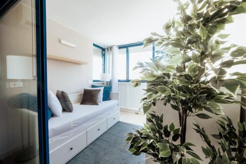 Moonkey - Kennedy III