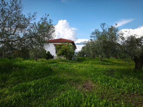 a white house in the middle of a field with trees at Μικρό Σπίτι στο Λιβάδι - Βικτώρια in Néa Sampsoús