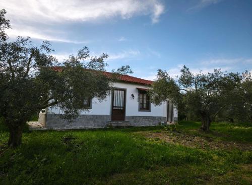 a white house with a red roof and some trees at Μικρό Σπίτι στο Λιβάδι - Βικτώρια in Néa Sampsoús