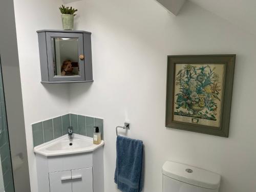 a bathroom with a sink and a toilet and a mirror at Six on Castle in Tiverton
