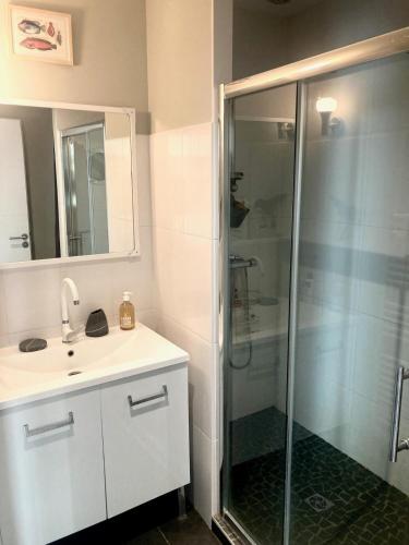 une salle de bain avec une douche, un lavabo et un miroir dans l'établissement Appart à 200m de la plage de Contis, à Saint-Julien-en-Born