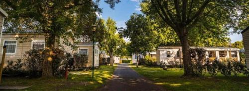 une rue résidentielle avec deux maisons et des arbres dans l'établissement La Réserve 4 étoiles à Gastes emplacement 592 3CH 1SDB 6 personnes, à Gastes