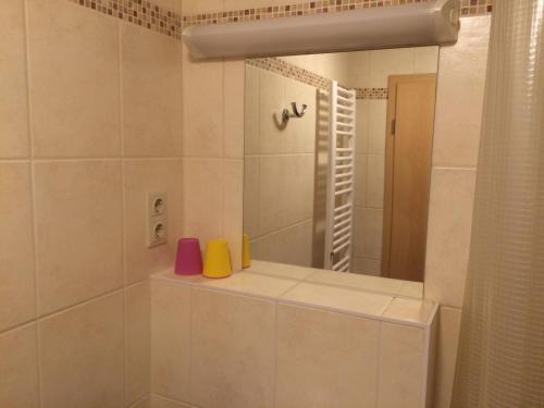 a bathroom with a shower with a mirror at Pension Hönel-Hof Bad Schandau in Bad Schandau
