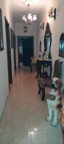 Galería fotográfica de Private room en Qormi