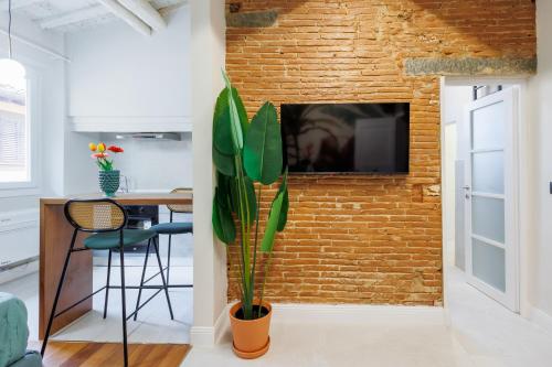 Jungle flat