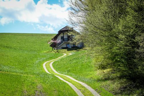 a house on a hill with a winding road at Countryside house in Male Brusnice