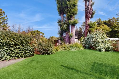 a yard with two palm trees and green grass at Tall Trees Lodge in Eureka