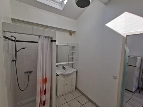 une salle de bain blanche avec une douche et un lavabo dans l'établissement Gîte Soleil, à Adissan