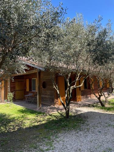 une cabane en rondins avec des arbres devant elle dans l'établissement Le chalet des oliviers, à Vézénobres