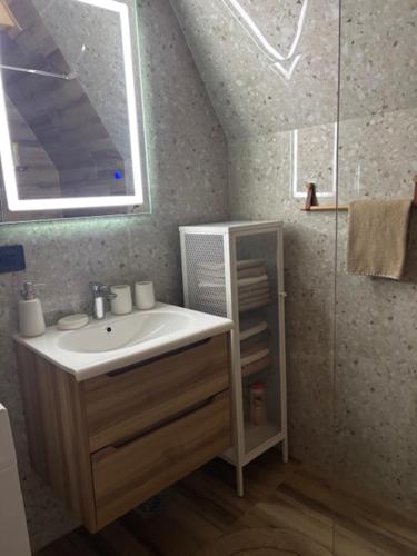 une salle de bain avec lavabo et douche dans l'établissement Pine Retreat, à Žabljak