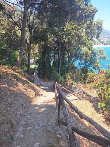 a wooden fence on a hill next to the ocean at SunRiseStudiosPapanero in Damouchari