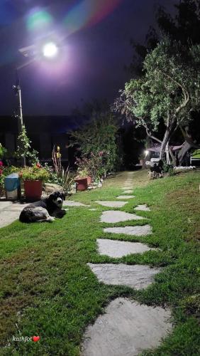 a dog laying on the grass under a street light at SunRiseStudiosPapanero in Damouchari