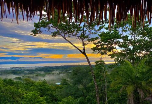 a view of a forest with fog in the distance at Corcovado Accommodations-pool-best views-nature in Puerto Jiménez