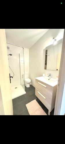 une salle de bain avec un lavabo, des toilettes et une douche dans l'établissement Charmant appartement à Saint-Gervais-les-Bains, idéal pour vos vacances à la montagne, à Saint-Gervais-les-Bains