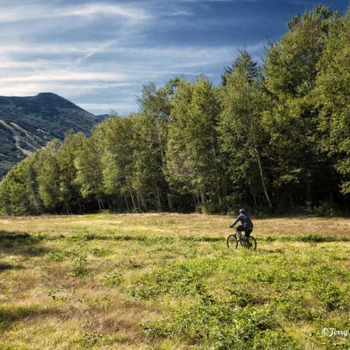 a person riding a bike in a field at Snowy Owl Inn in Waterville Valley