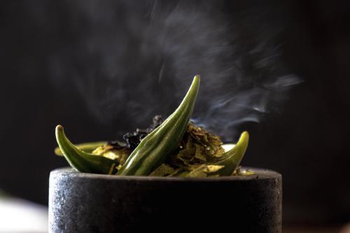 a green plant in a black pot with smoke at Les Palétuviers in Toubakouta