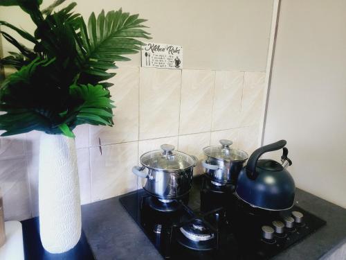 a stove with two pots and a vase on it at Eastern Road Executive Suites in Harare