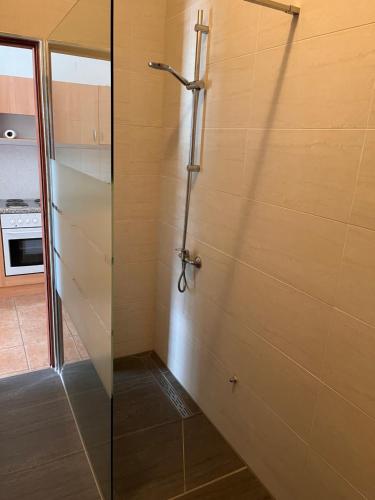 a shower with a glass door in a bathroom at Villa Rocco in Vinjerac