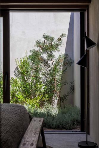 a window with a view of a tree outside at Velvet Bungalow in Carvalhal