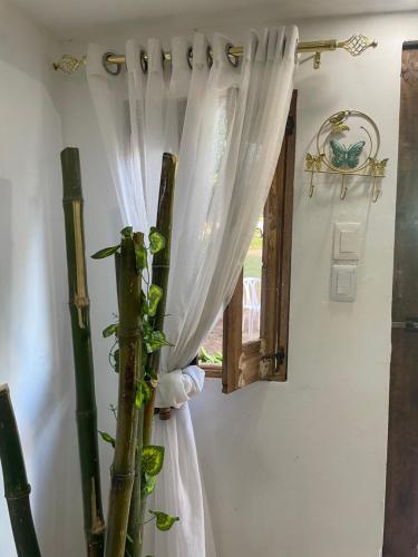 a window with a white curtain and a plant at Dreamvilles Ecovillage Las Galeras in Las Galeras