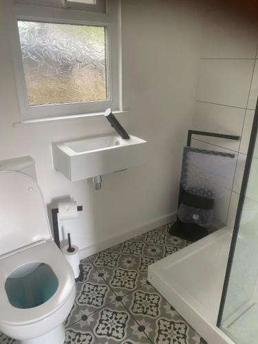 a bathroom with a toilet and a sink and a window at River View Lodge in Caeathro
