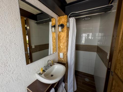 a bathroom with a sink and a mirror at Dowtown lofts by flor y tierra in Guadalajara