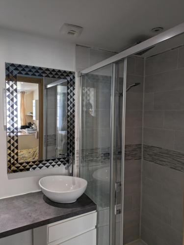 une salle de bain avec un lavabo et une douche en verre dans l'établissement Studio cosy, à Saumur