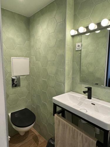 une salle de bain avec un lavabo, des toilettes et un miroir dans l'établissement Pan Demeure et Granges, à Montesquieu-Avantès