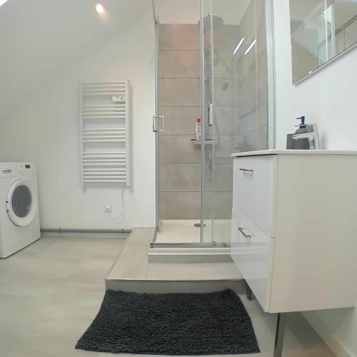 une salle de bain avec douche et machine à laver dans l'établissement Charmant et calme - T3 entièrement équipé et rénové, à Seloncourt