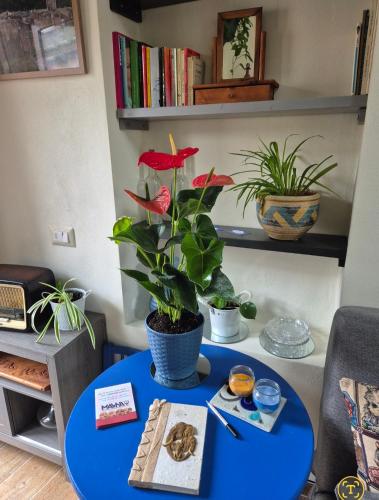 a blue table with a potted plant on it at Sogno di Pinka in Calcata