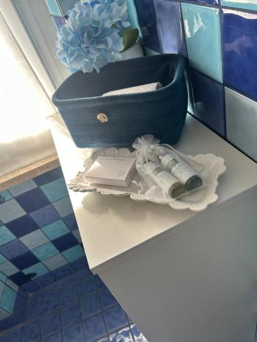 a bathroom shelf with a blue pot and a plant at Arcola -La Spezia-cinque terre-Lerici in Arcola