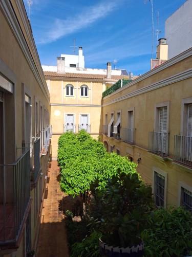 Triana Estudio
