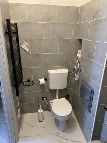 a bathroom with a toilet and a tiled wall at Ambra in Viverone