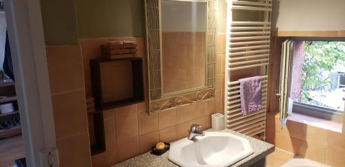 une salle de bain avec un lavabo et un miroir dans l'établissement Charming apartment with a view, à Lyon