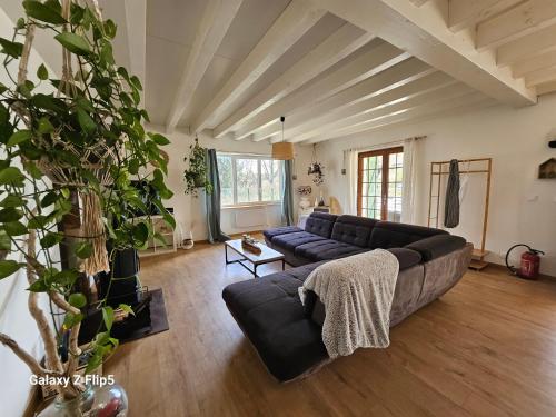 un grand salon avec un canapé et une plante dans l'établissement Chez yoan et laurie, à Corbelin