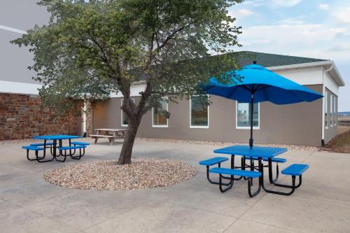a group of picnic tables and a tree with a blue umbrella at Holiday Inn Express Pekin - Peoria Area by IHG in Pekin Heights
