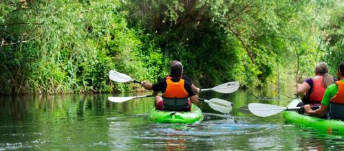 three people are kayaking down a river in the water at Ambra in Viverone