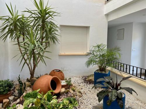 a garden with plants in front of a building at Beautiful apartment with golf and mountains view in Sucina