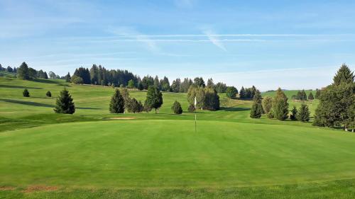 a view of a golf course with a green field at The Garden Studio in Dorking