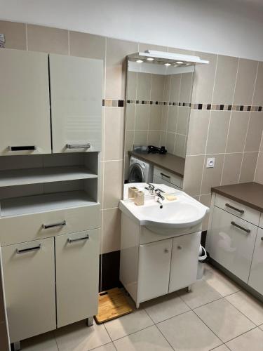 une salle de bain avec un lavabo et une machine à laver dans l'établissement Appart, résidentiel penta-di-Casinca, à Penta-di-Casinca