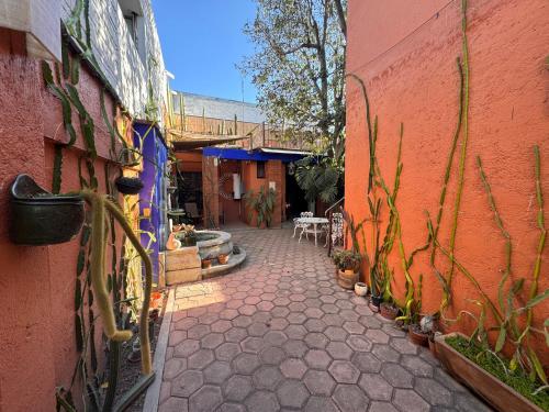 an alley with a building and a table with plants at La Casa del Arbol in Oaxaca City