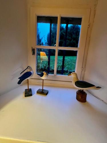three birds sitting on a shelf in front of a window at Gîtes du Gohic in Quistinic