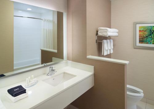 a bathroom with a sink and a mirror and a toilet at Fairfield Inn & Suites by Marriott Hendersonville Flat Rock in Flat Rock