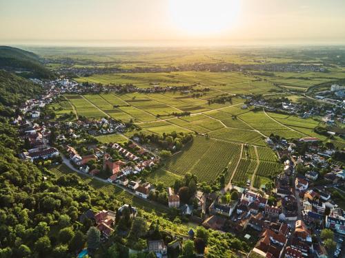 an aerial view of a small town in a field at WeinZeit13 in Neustadt an der Weinstraße