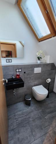 a bathroom with a toilet and a sink and a skylight at Magisches Wachstein in Wachstein